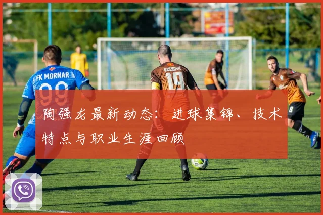 陶强龙最新动态:进球集锦、技术特点与职业生涯回顾