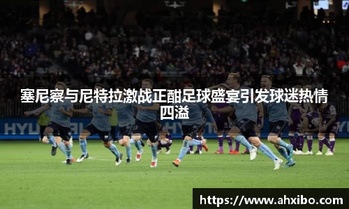 塞尼察与尼特拉激战正酣足球盛宴引发球迷热情四溢